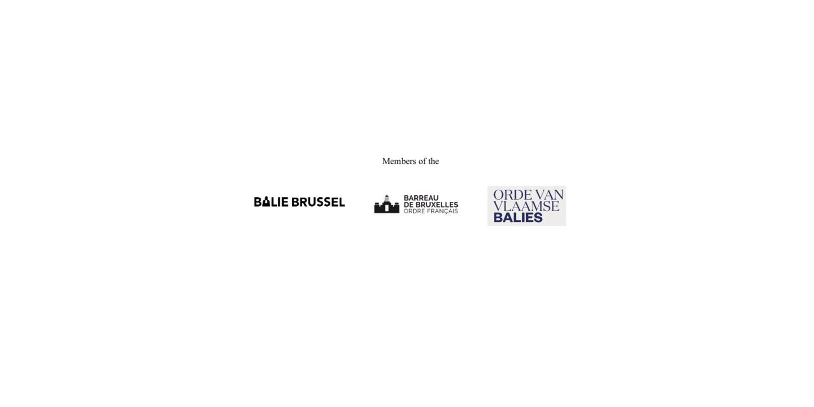Organization logo from The Winning Brief client portfolio